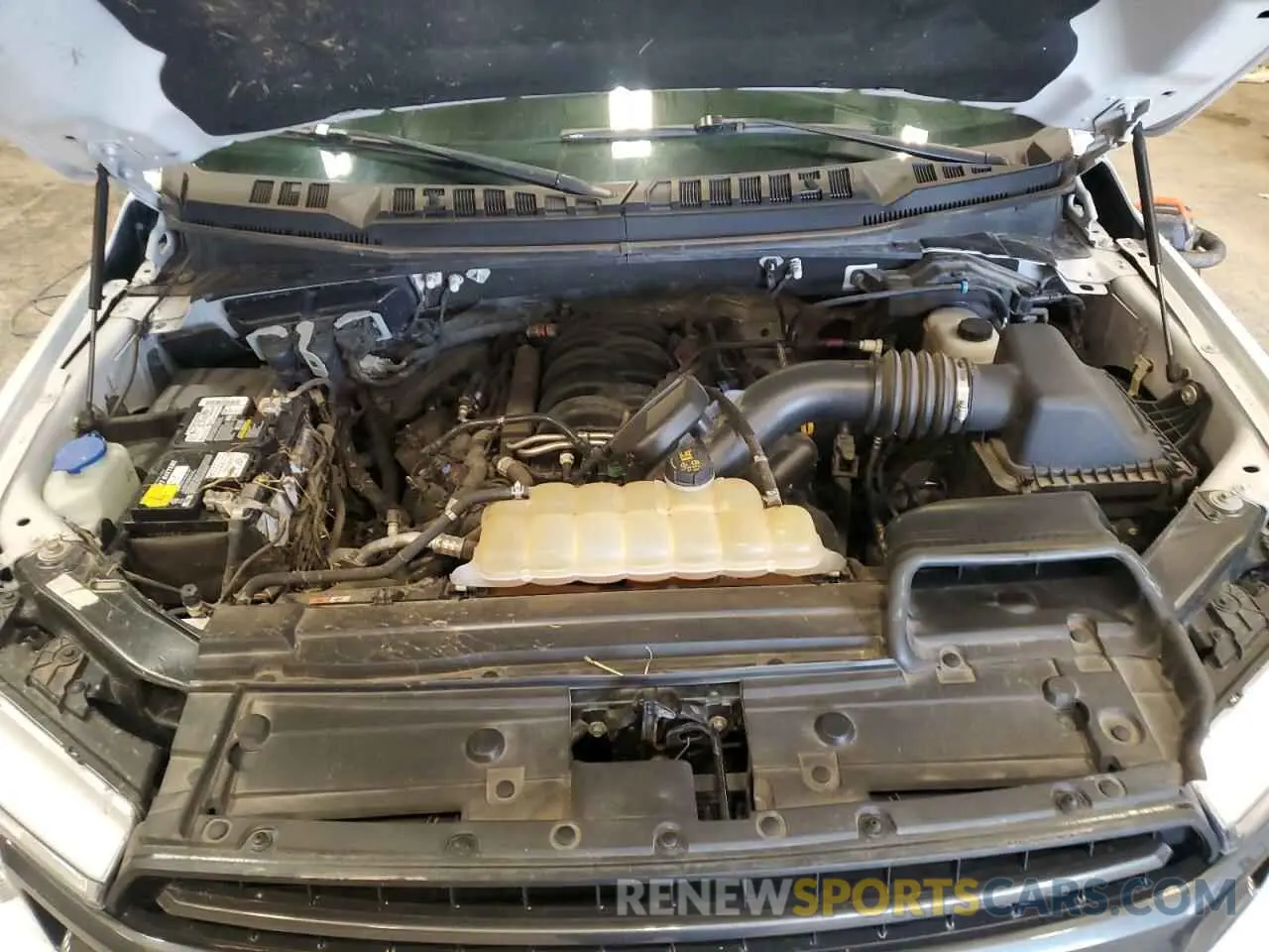 11 Photograph of a damaged car 1FTFW1E52KFB06601 FORD F-150 2019