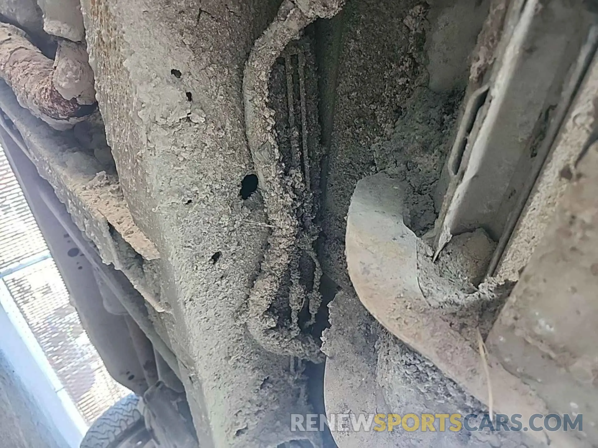 31 Photograph of a damaged car 1FTFW1E59KKD28009 FORD F-150 2019