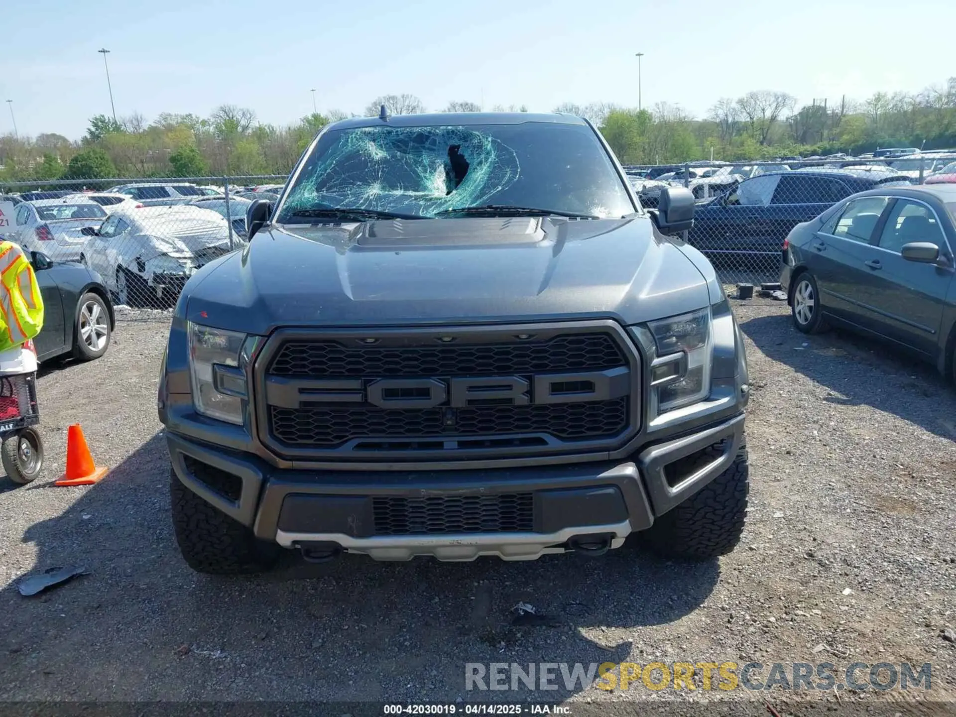 12 Photograph of a damaged car 1FTFW1RG7KFC95810 FORD F-150 2019
