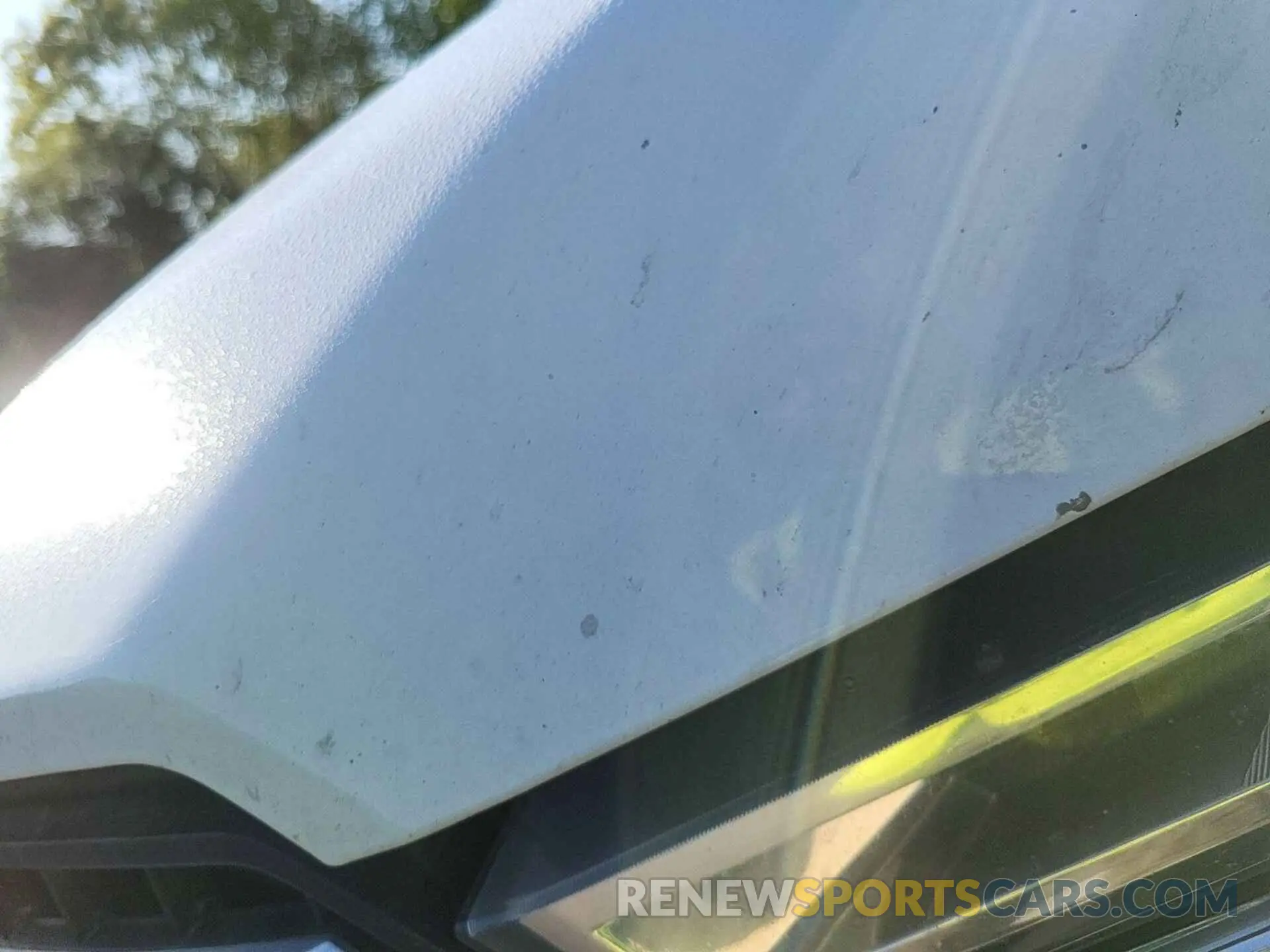 19 Photograph of a damaged car 1FTFX1C44KKE53054 FORD F-150 2019