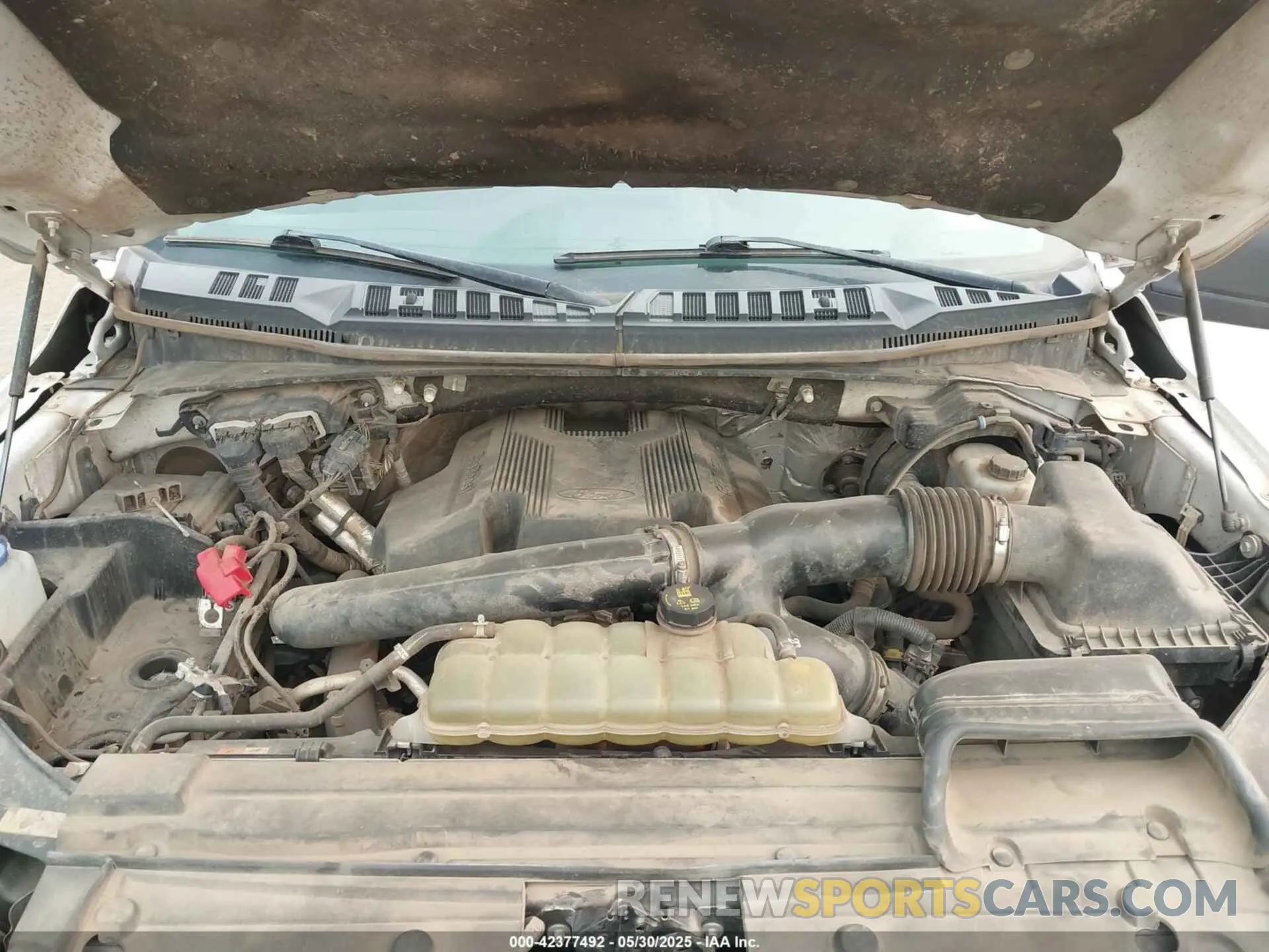 10 Photograph of a damaged car 1FTFX1E44KKD52335 FORD F-150 2019