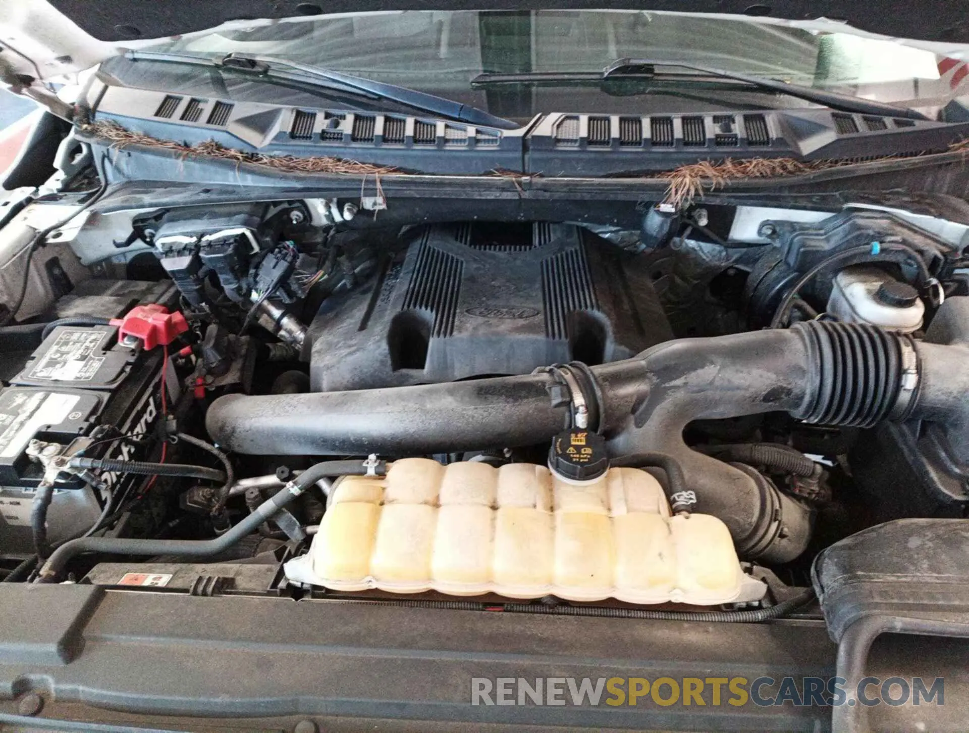 17 Photograph of a damaged car 1FTFX1E48KKC43585 FORD F-150 2019