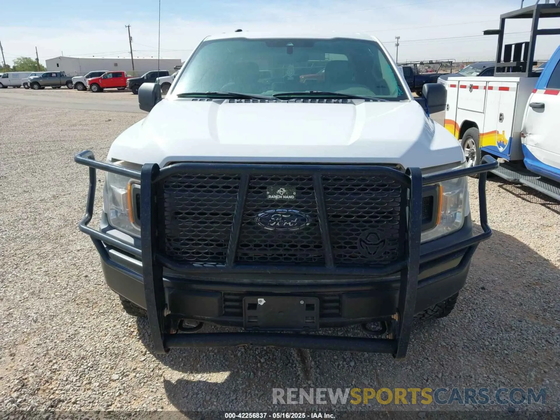 12 Photograph of a damaged car 1FTFX1E52KKC37242 FORD F-150 2019