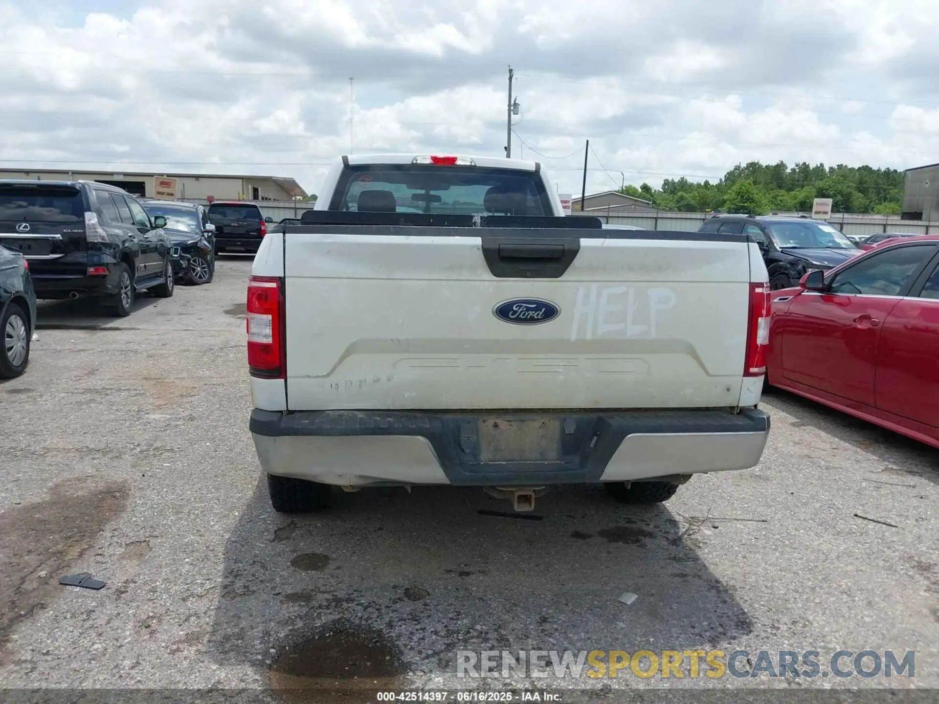 16 Photograph of a damaged car 1FTMF1C50KKC79017 FORD F-150 2019