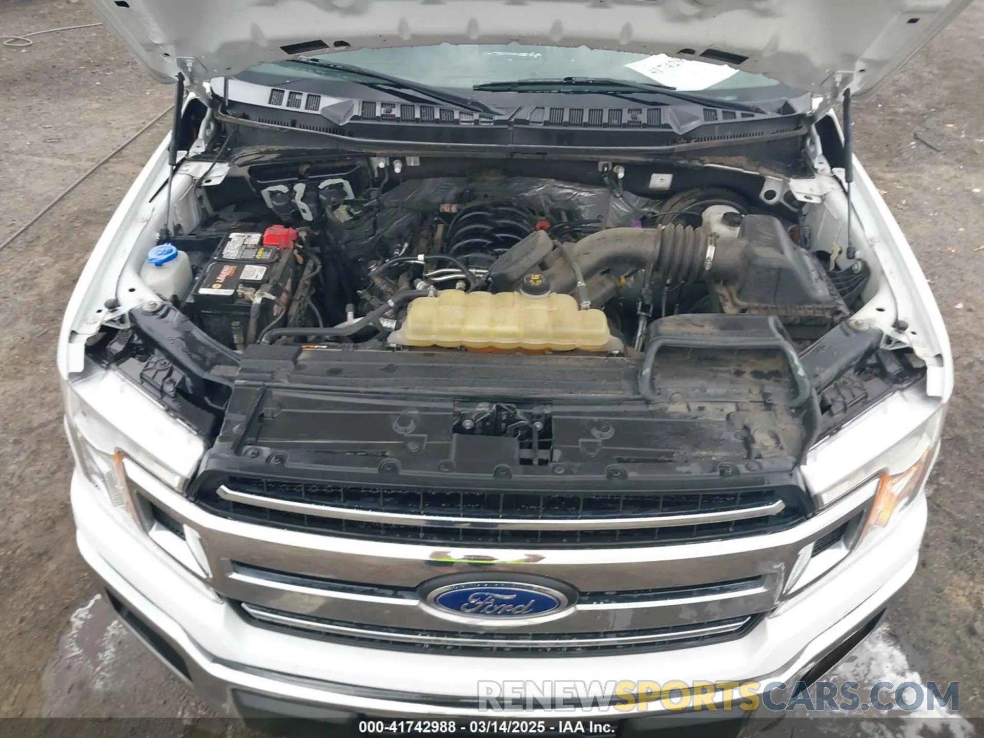 10 Photograph of a damaged car 1FTMF1C53KKD08509 FORD F-150 2019