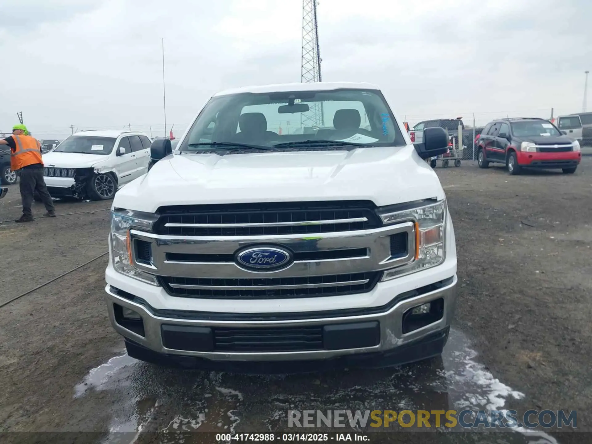 12 Photograph of a damaged car 1FTMF1C53KKD08509 FORD F-150 2019