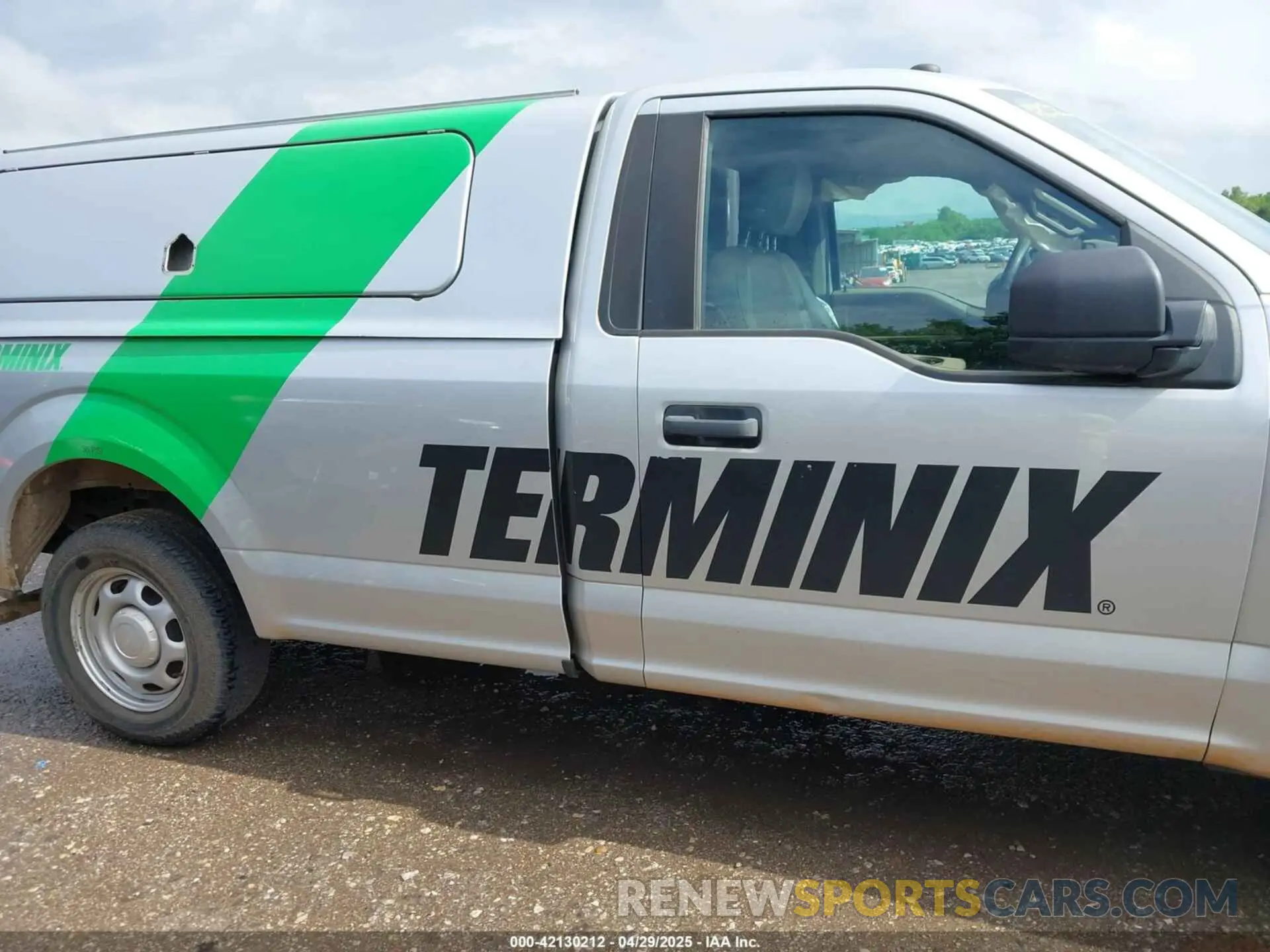 13 Photograph of a damaged car 1FTMF1C54KKD52096 FORD F-150 2019
