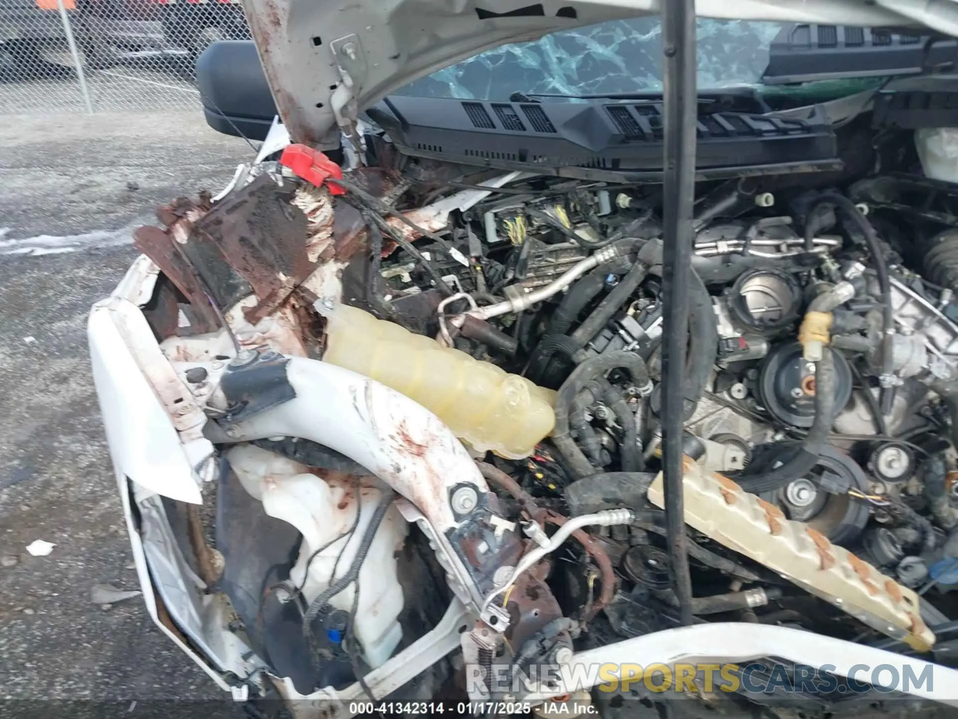 18 Photograph of a damaged car 1FTMF1C59KKD60081 FORD F-150 2019