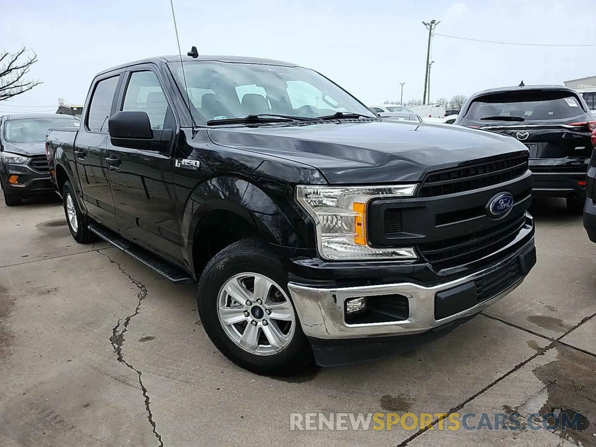 5 Photograph of a damaged car 1FTEW1CB0LKF05519 FORD F-150 2020
