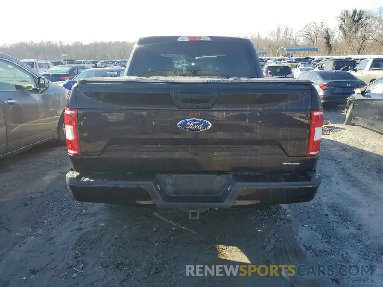 6 Photograph of a damaged car 1FTEW1CP3LFB61043 FORD F-150 2020