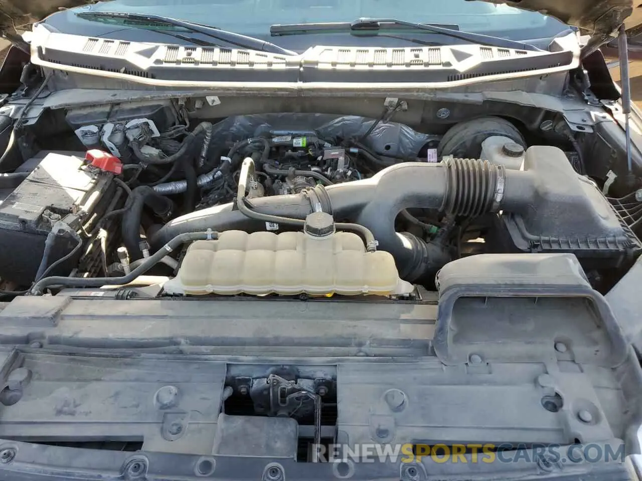 11 Photograph of a damaged car 1FTEW1CP6LKE24018 FORD F-150 2020