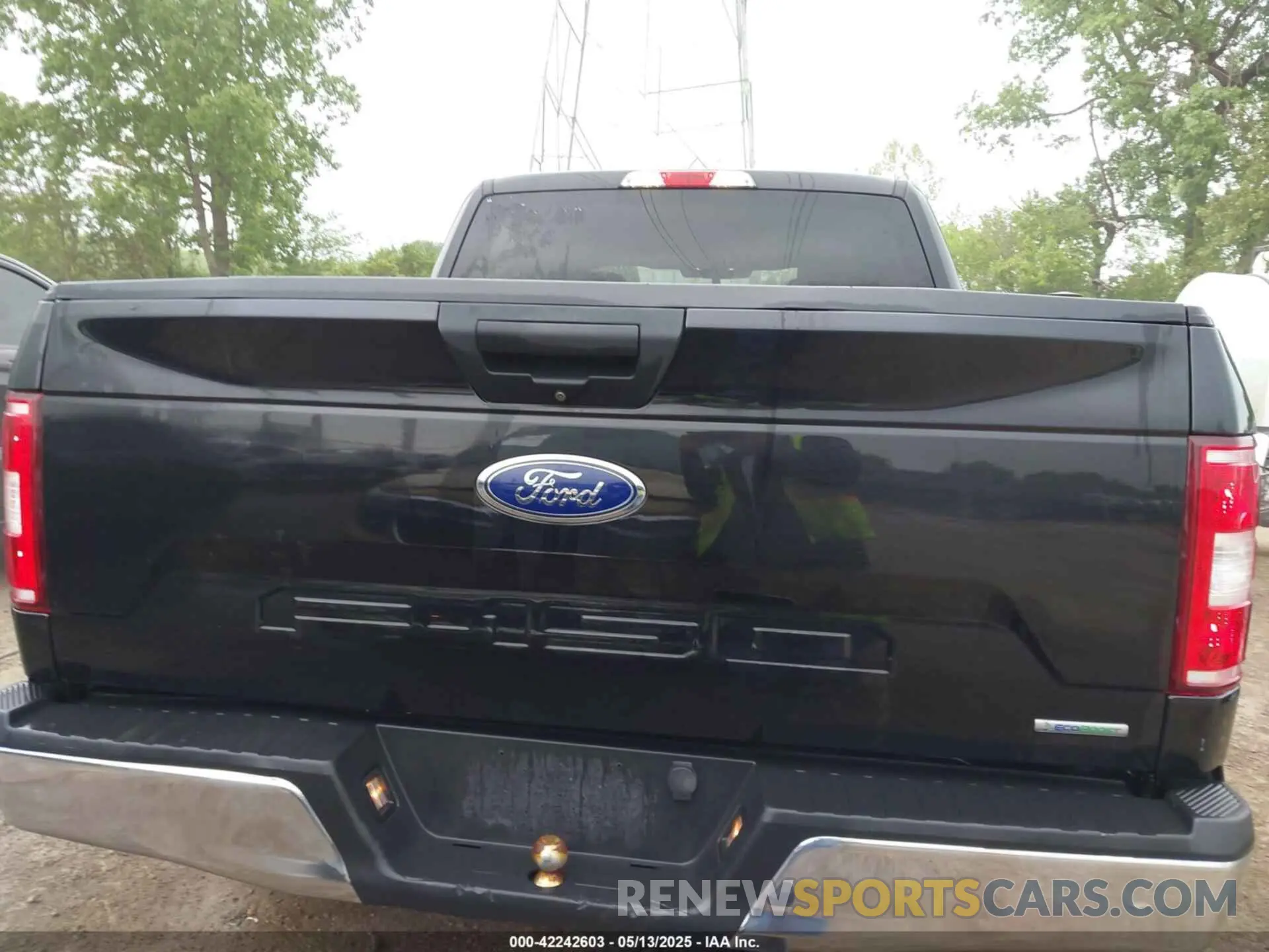 17 Photograph of a damaged car 1FTEW1E41LFA26128 FORD F-150 2020