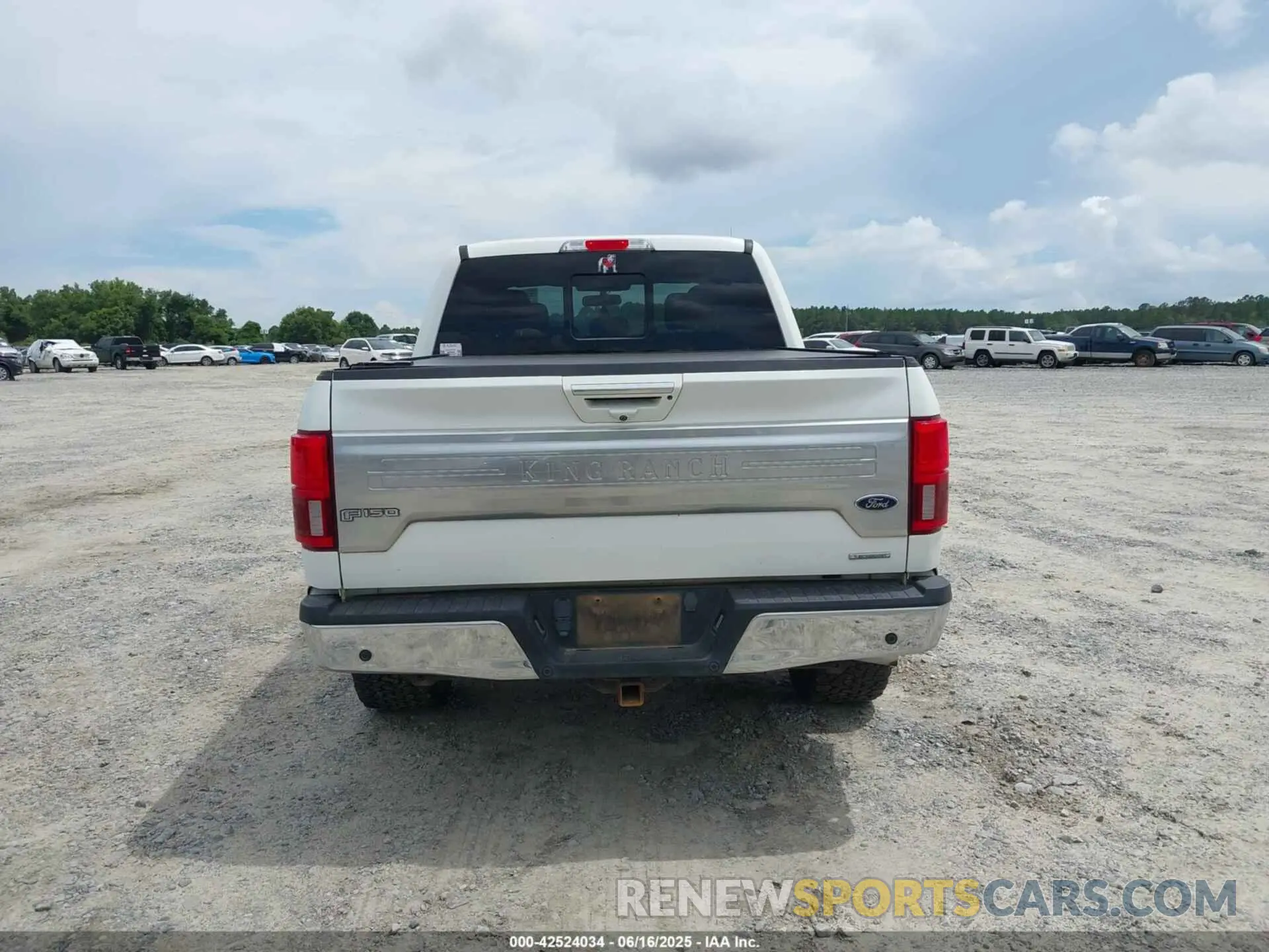 16 Photograph of a damaged car 1FTEW1E41LFC28984 FORD F-150 2020
