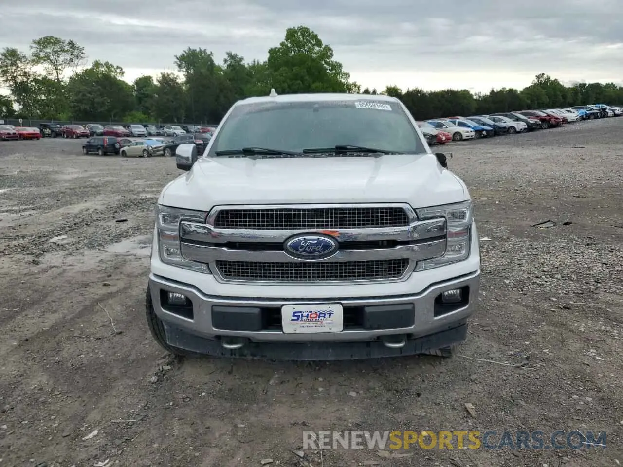 5 Photograph of a damaged car 1FTEW1E43LFB77729 FORD F-150 2020