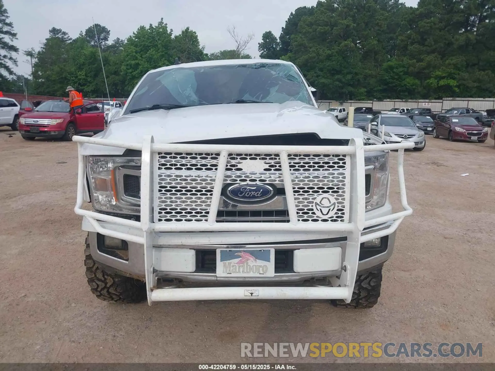 12 Photograph of a damaged car 1FTEW1E43LKE32614 FORD F-150 2020