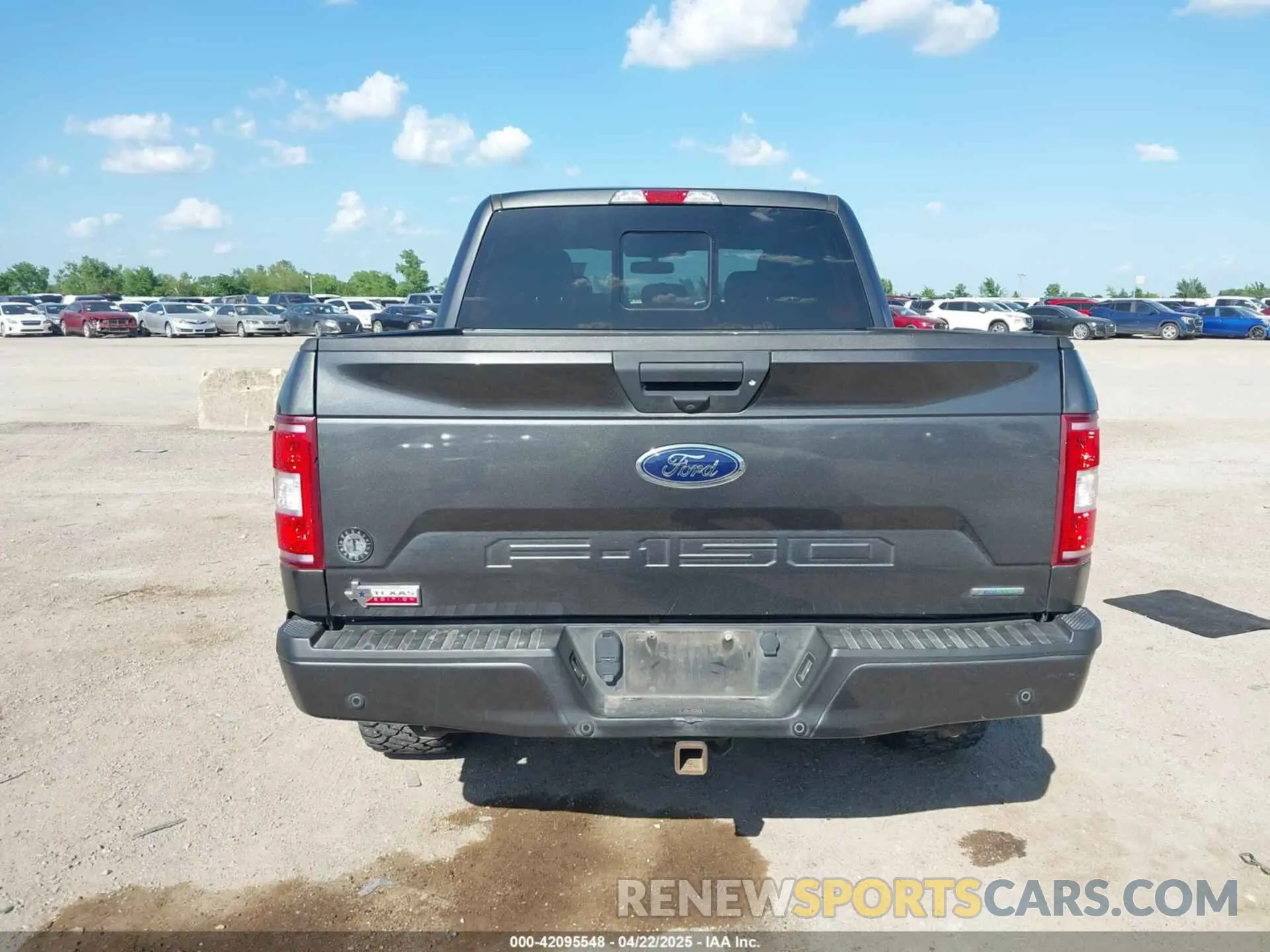 16 Photograph of a damaged car 1FTEW1E43LKE34606 FORD F-150 2020