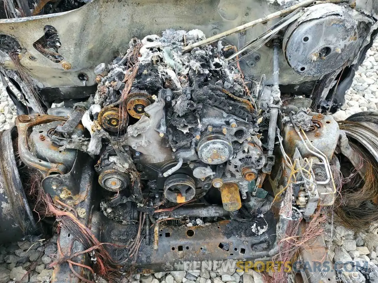 11 Photograph of a damaged car 1FTEW1E44LFB76976 FORD F-150 2020