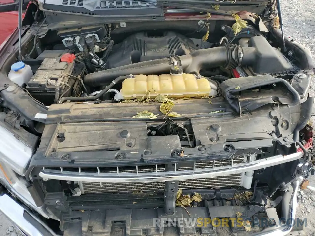 11 Photograph of a damaged car 1FTEW1E46LKE54851 FORD F-150 2020