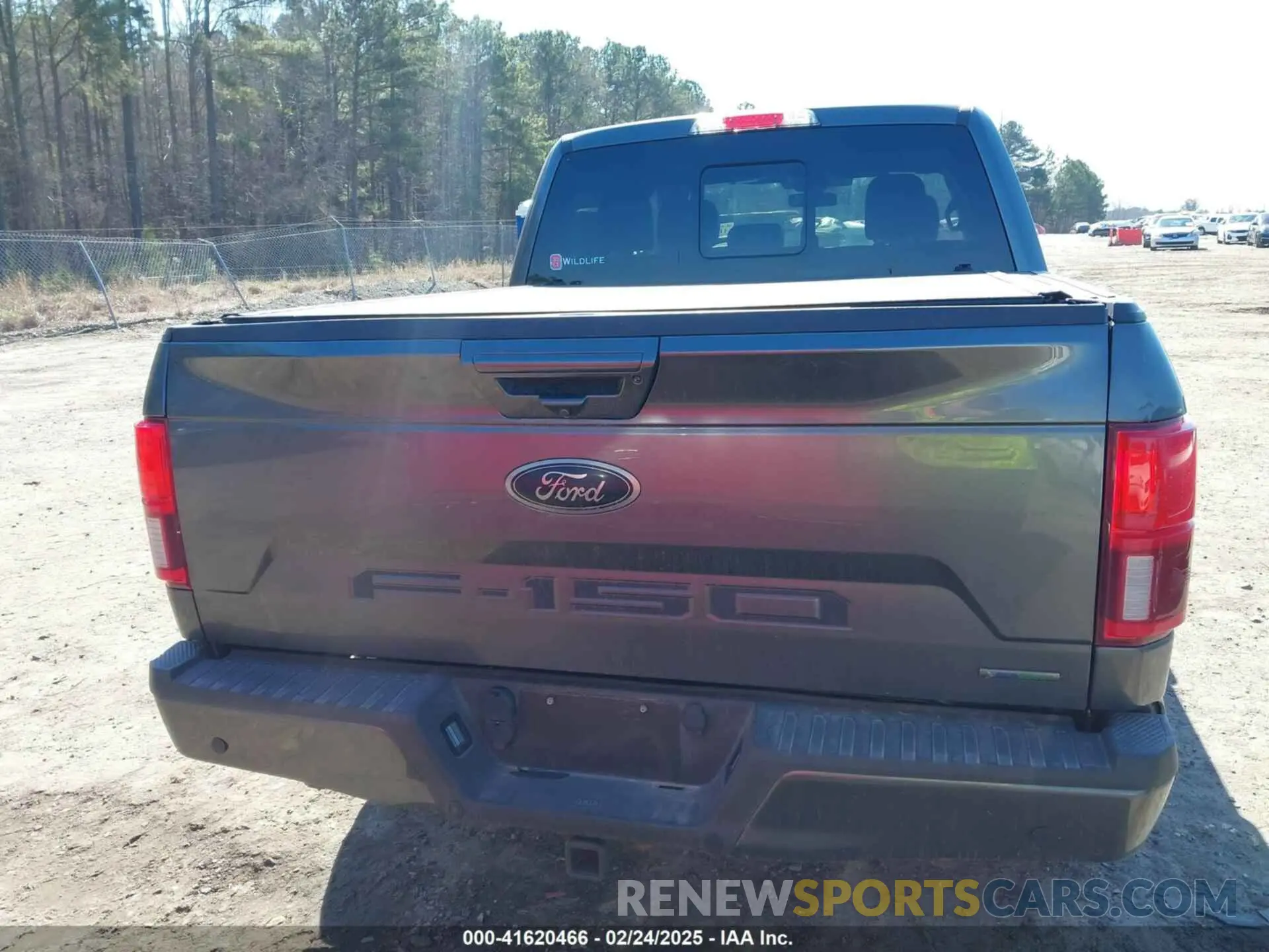 17 Photograph of a damaged car 1FTEW1E47LFB78074 FORD F-150 2020