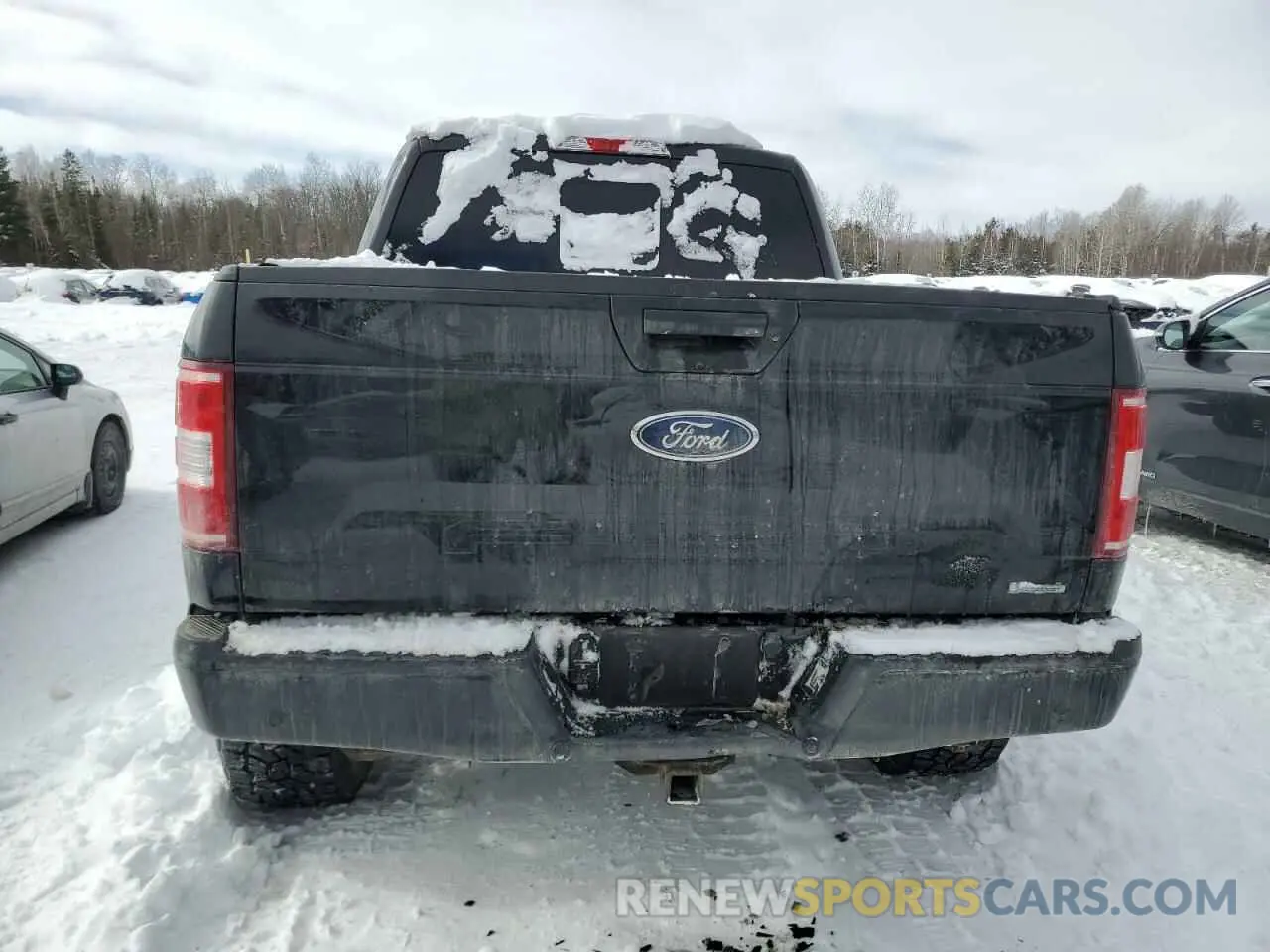 6 Photograph of a damaged car 1FTEW1E4XLFC60431 FORD F-150 2020