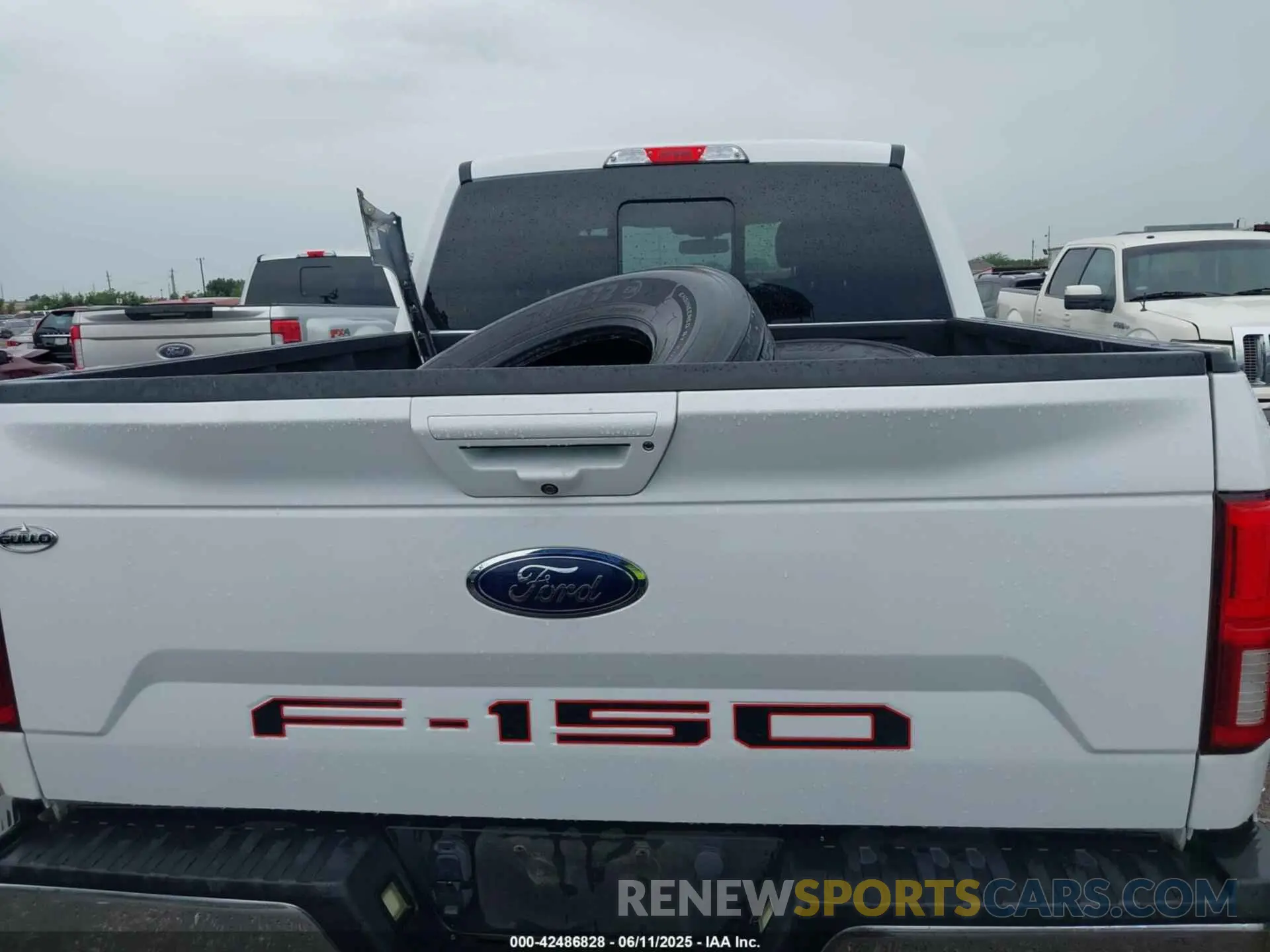 16 Photograph of a damaged car 1FTEW1E53LKD78854 FORD F-150 2020