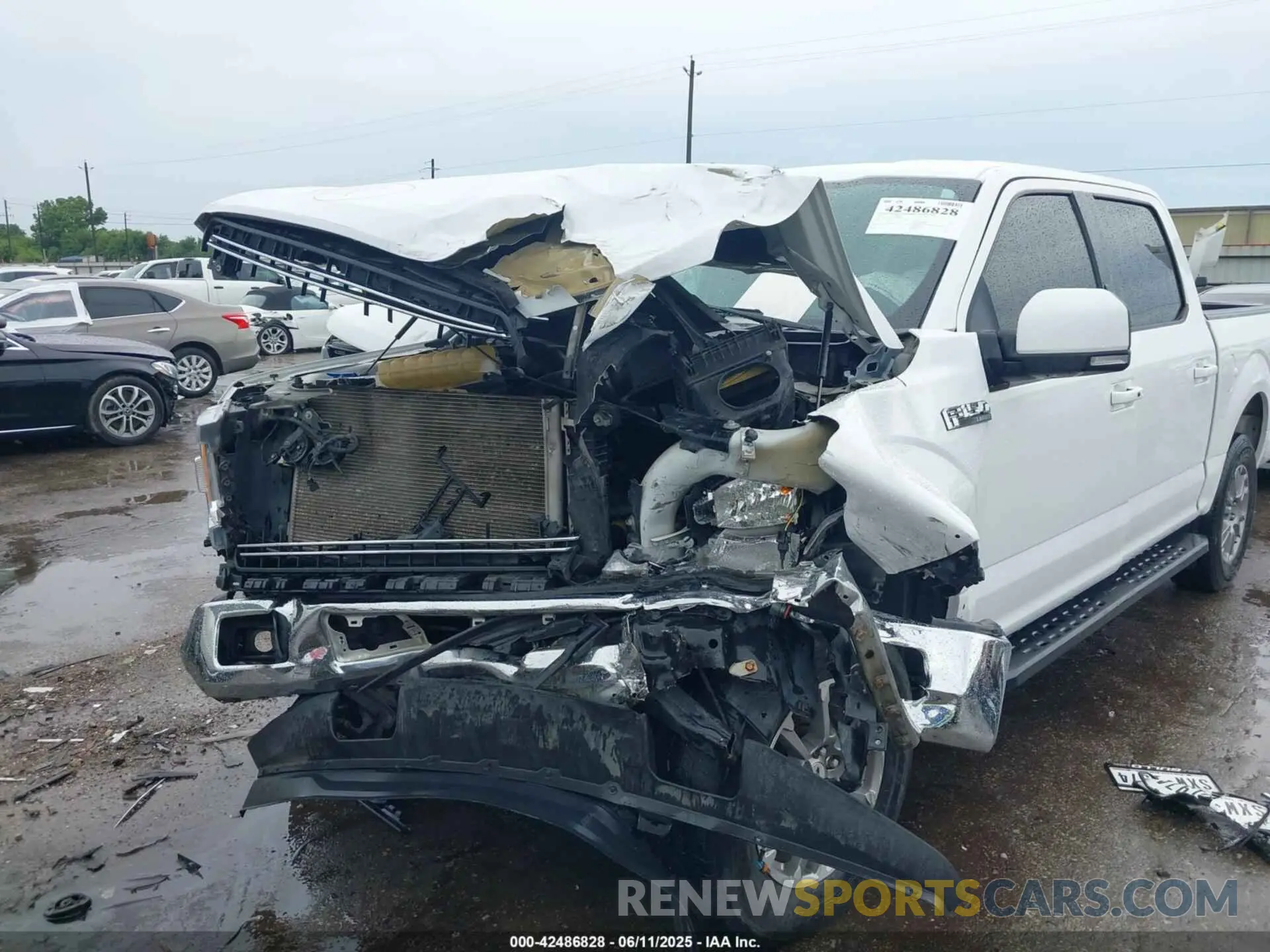 6 Photograph of a damaged car 1FTEW1E53LKD78854 FORD F-150 2020