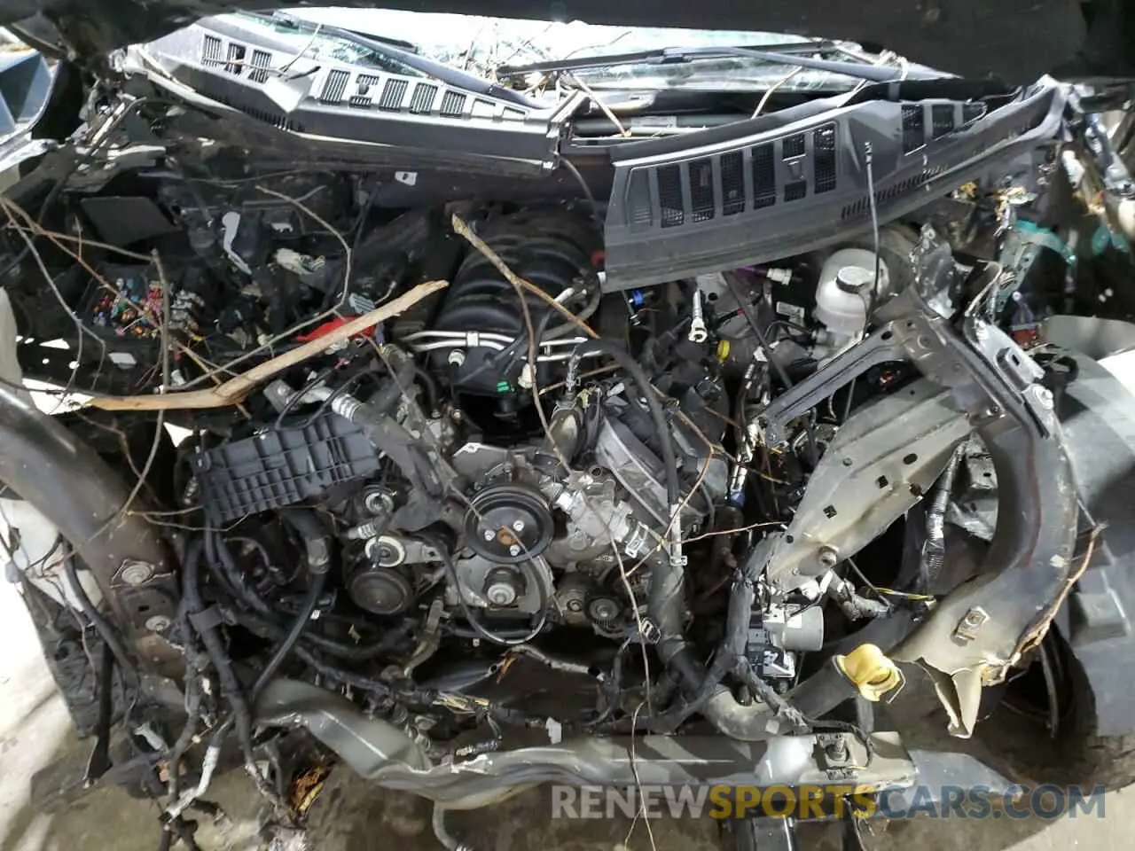 11 Photograph of a damaged car 1FTEW1E55LFB49942 FORD F-150 2020