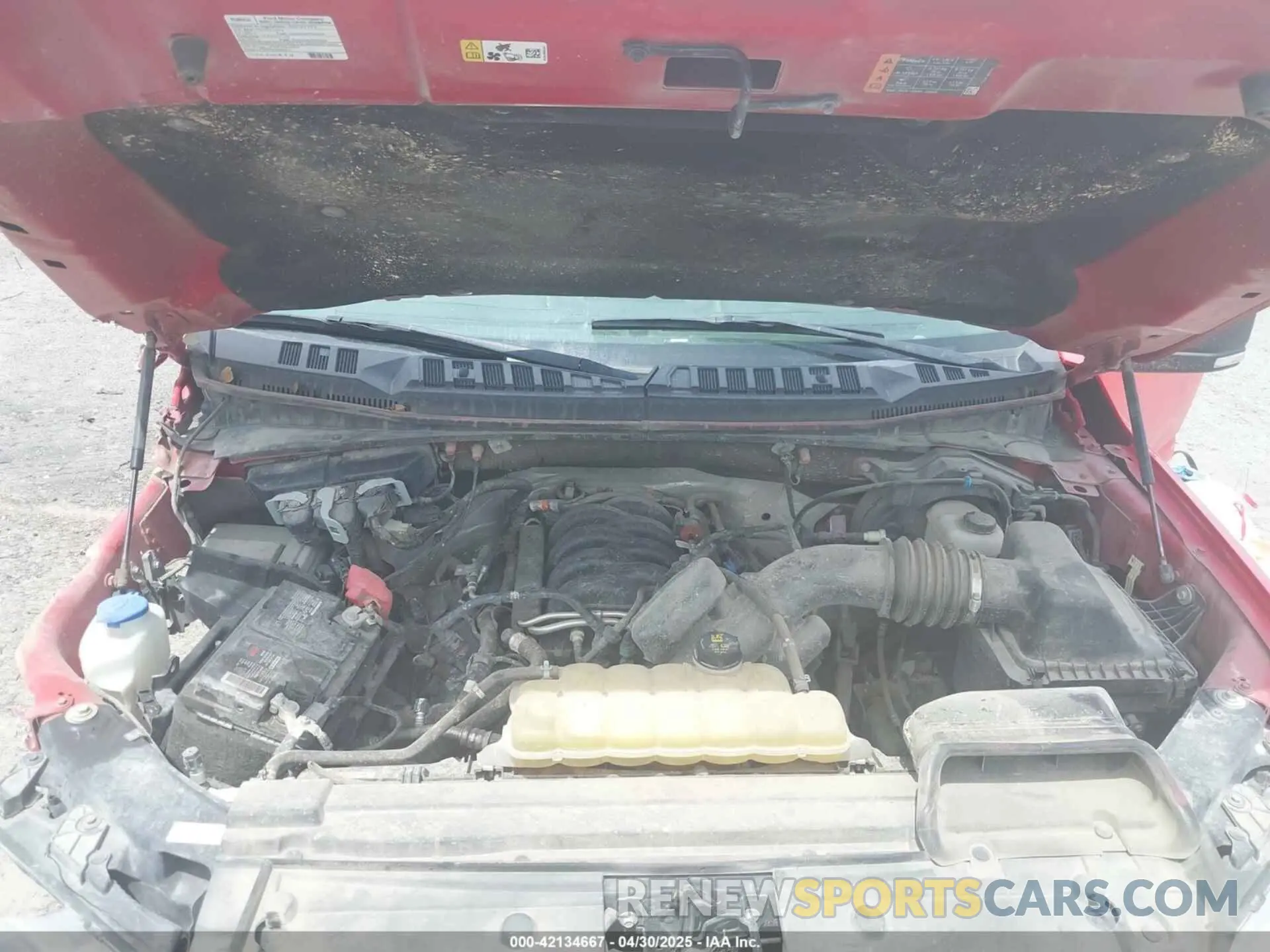 10 Photograph of a damaged car 1FTEW1E56LKE33121 FORD F-150 2020