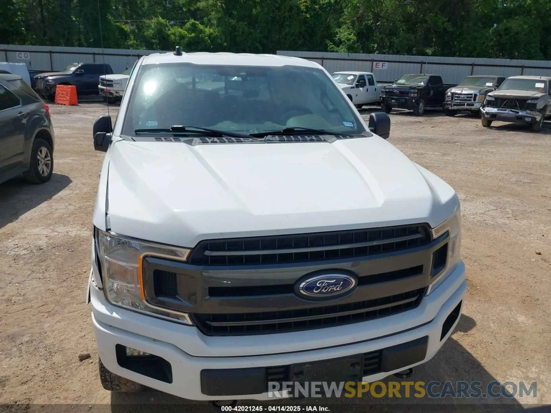 12 Photograph of a damaged car 1FTEW1E59LKE78957 FORD F-150 2020