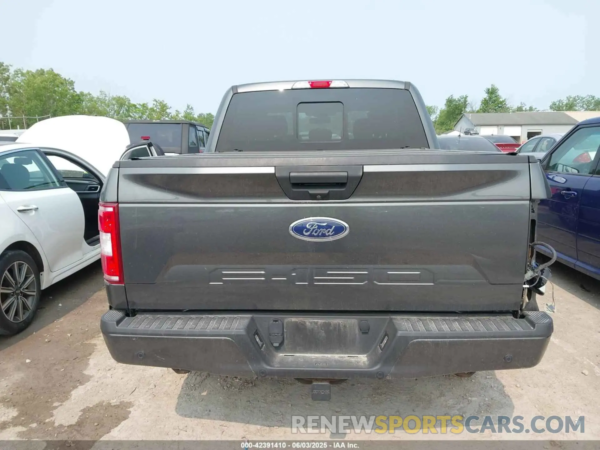 16 Photograph of a damaged car 1FTEW1EP1LFC21317 FORD F-150 2020