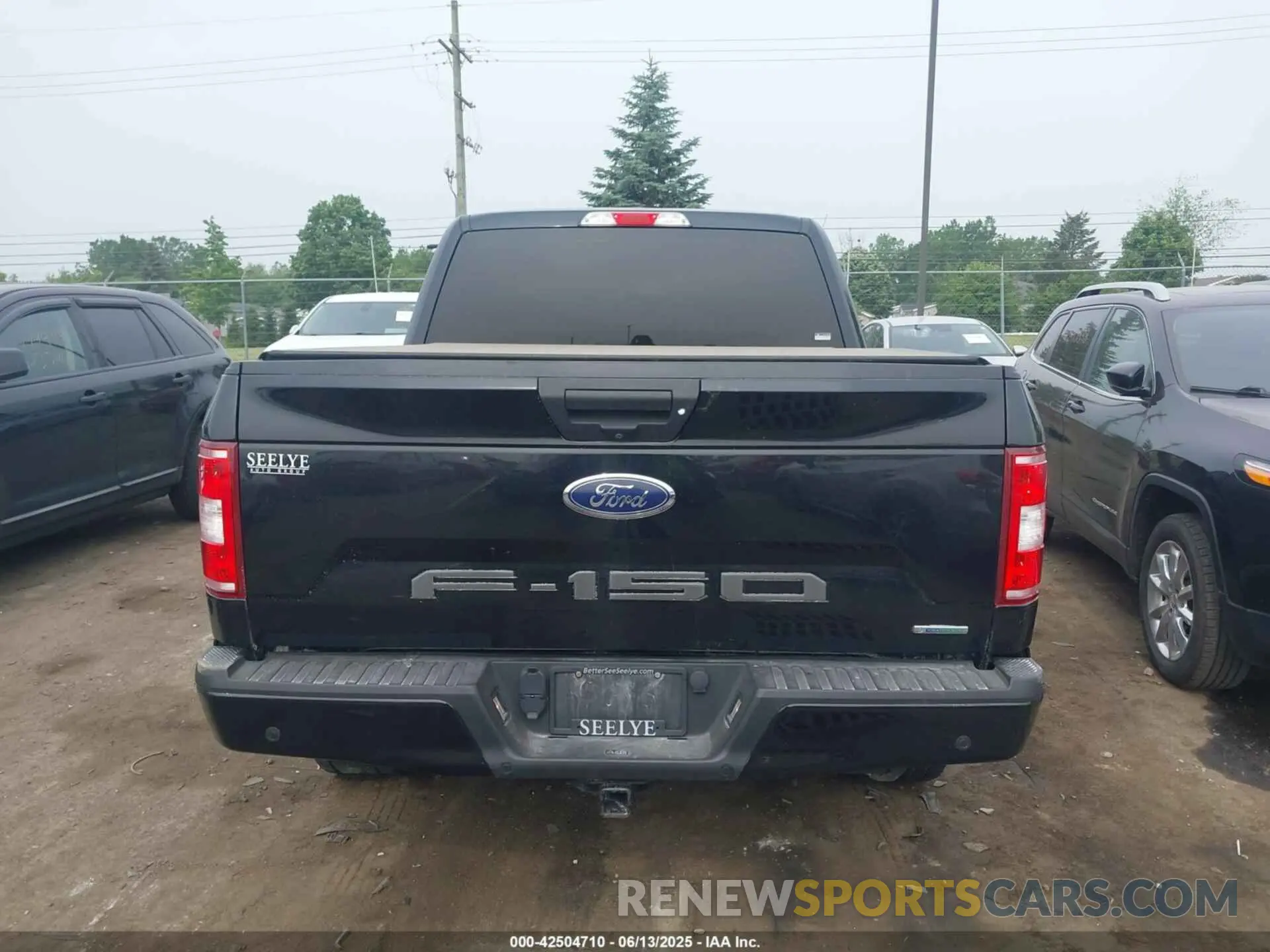 16 Photograph of a damaged car 1FTEW1EP7LFA12518 FORD F-150 2020