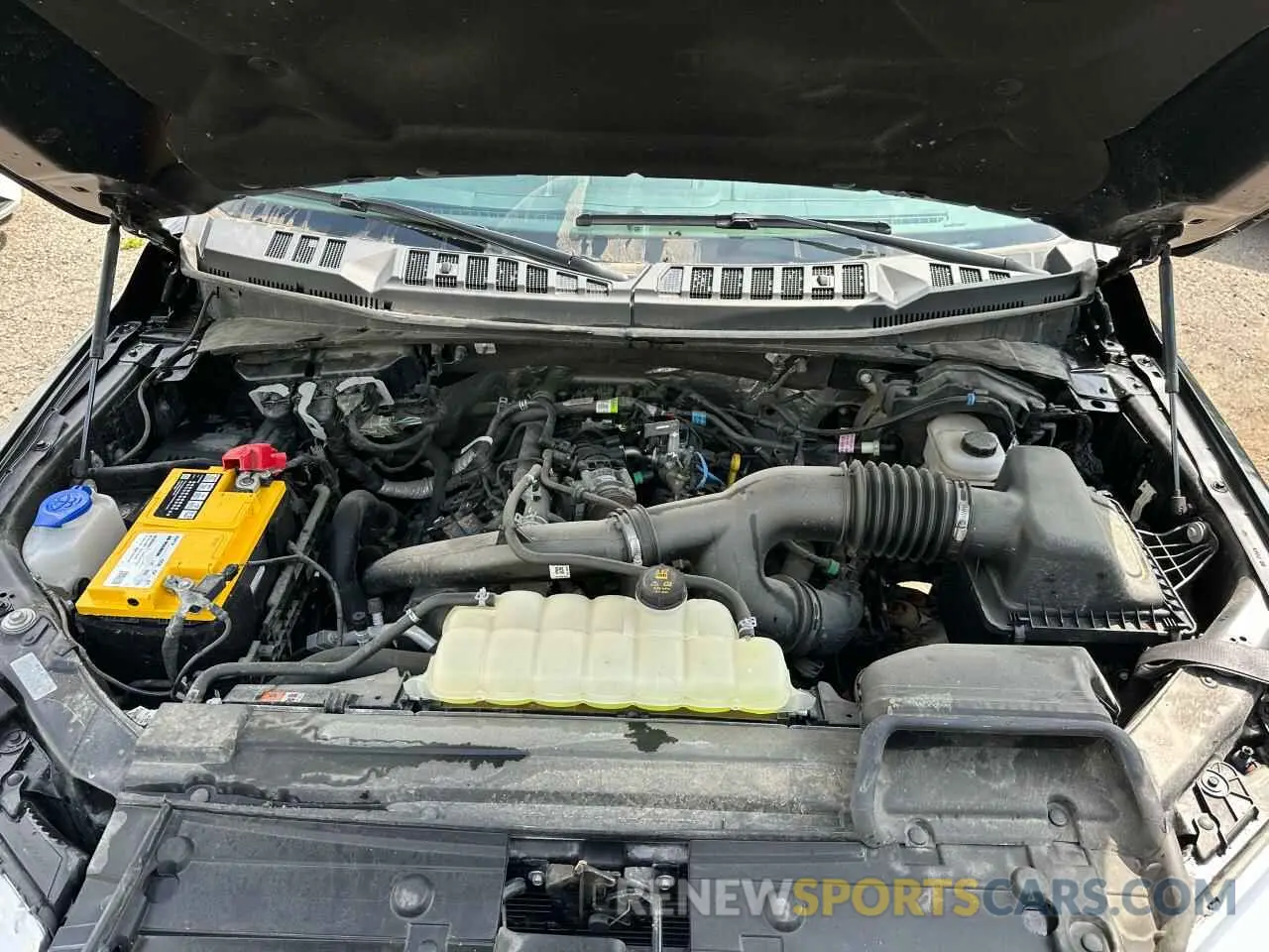 5 Photograph of a damaged car 1FTEX1EP6LFB57319 FORD F-150 2020