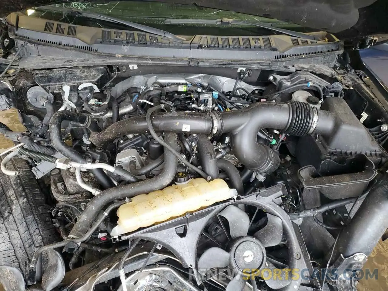 11 Photograph of a damaged car 1FTEX1EPXLFB50342 FORD F-150 2020