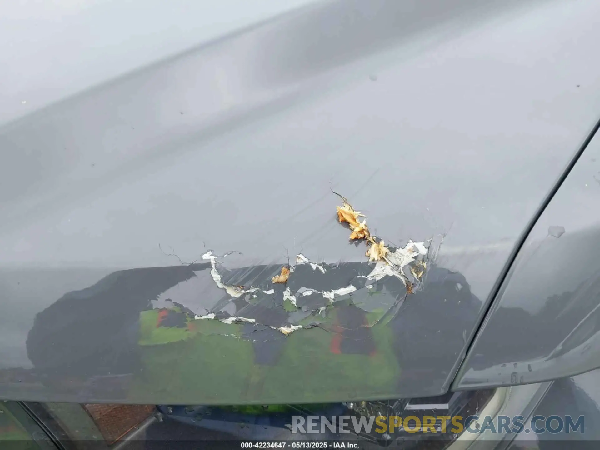 20 Photograph of a damaged car 1FTFW1RG2LFA69076 FORD F-150 2020