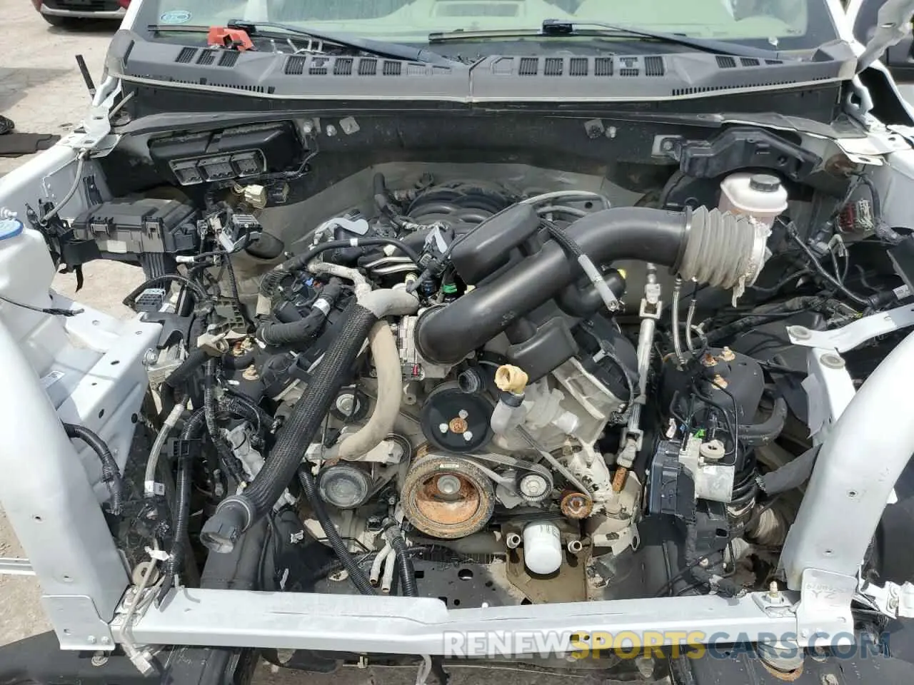 11 Photograph of a damaged car 1FTFX1E53LKE43509 FORD F-150 2020