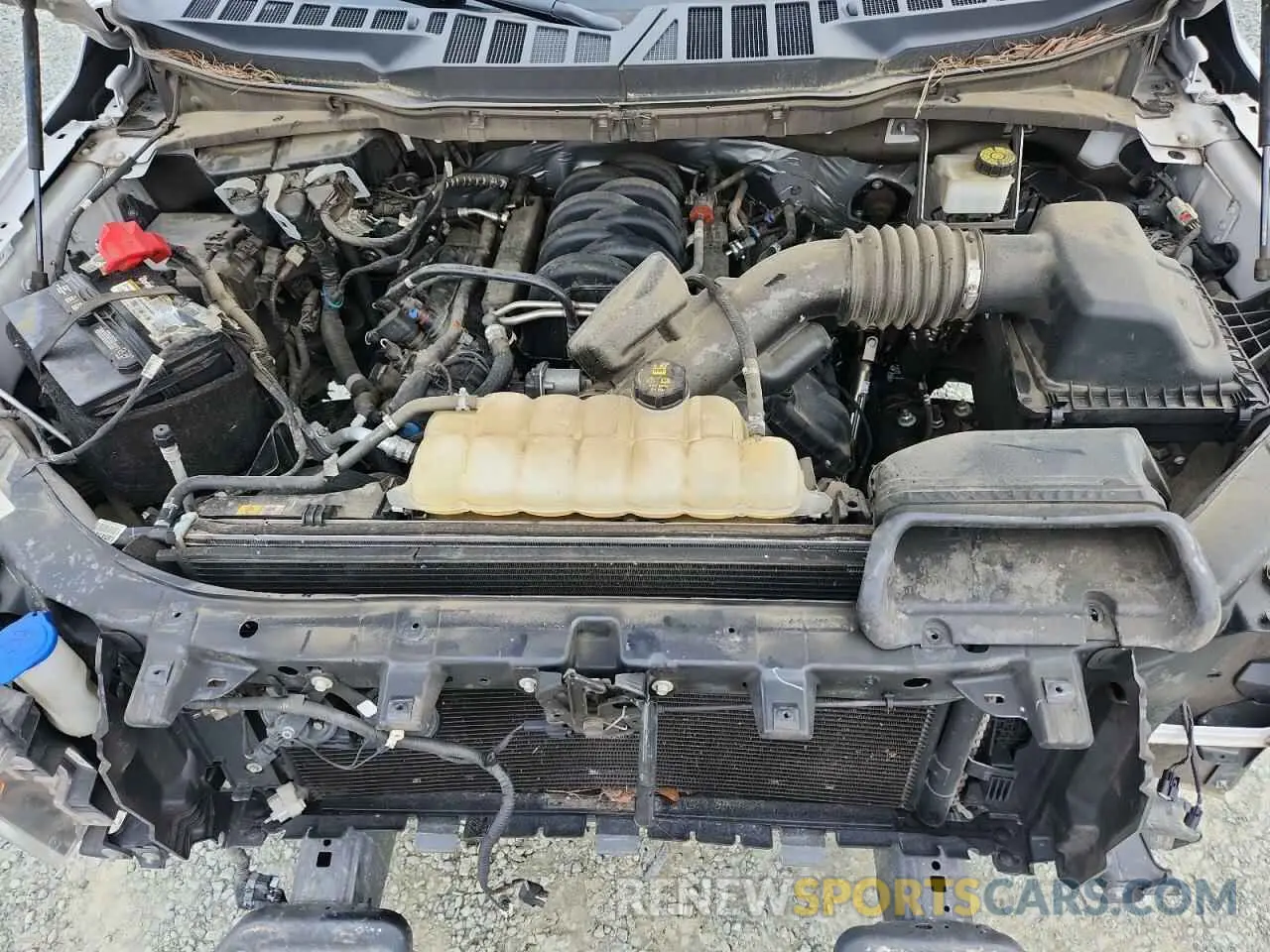 11 Photograph of a damaged car 1FTEW1C53MFB80059 FORD F-150 2021