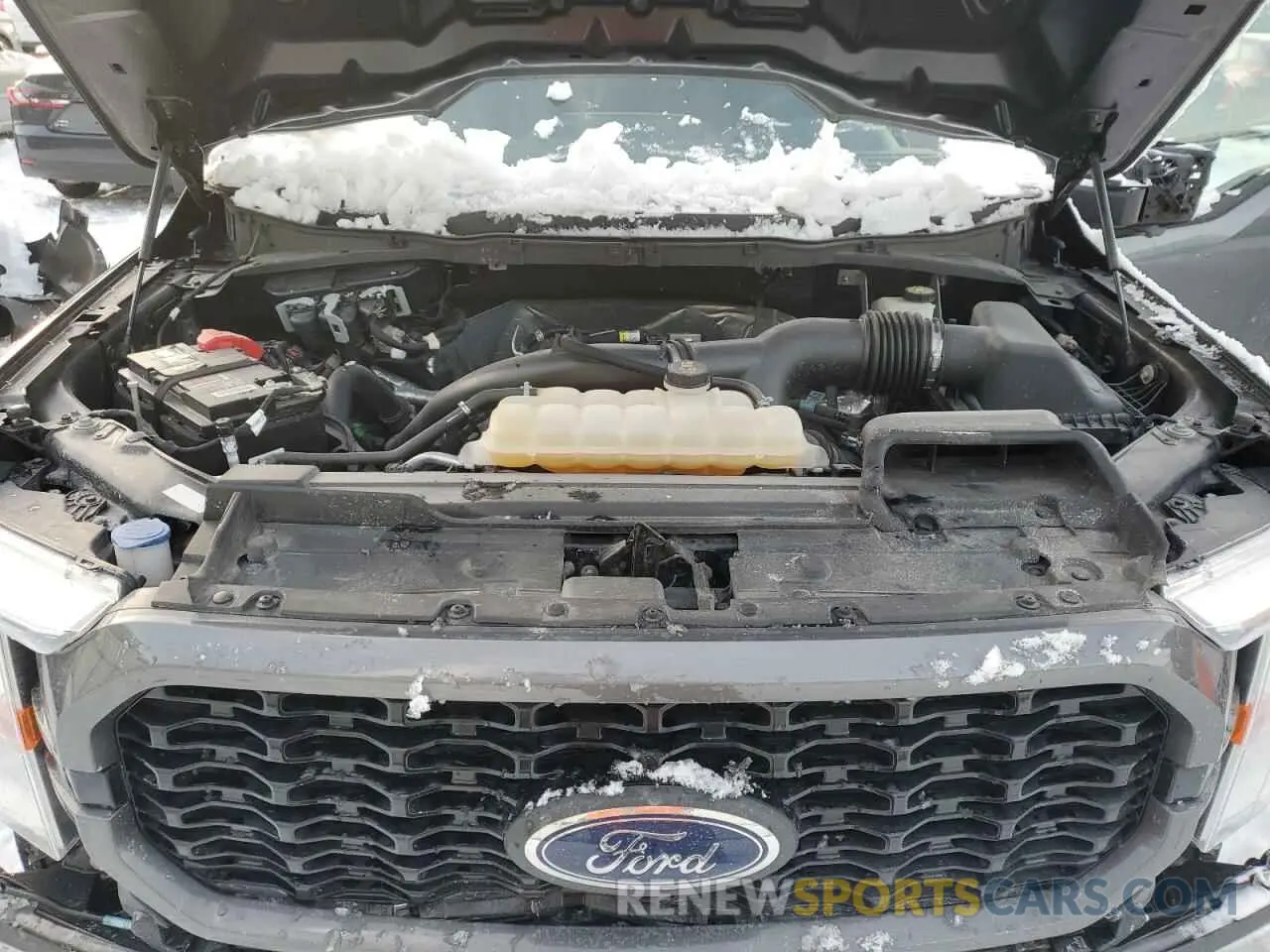 11 Photograph of a damaged car 1FTEW1EP0MKE36292 FORD F-150 2021