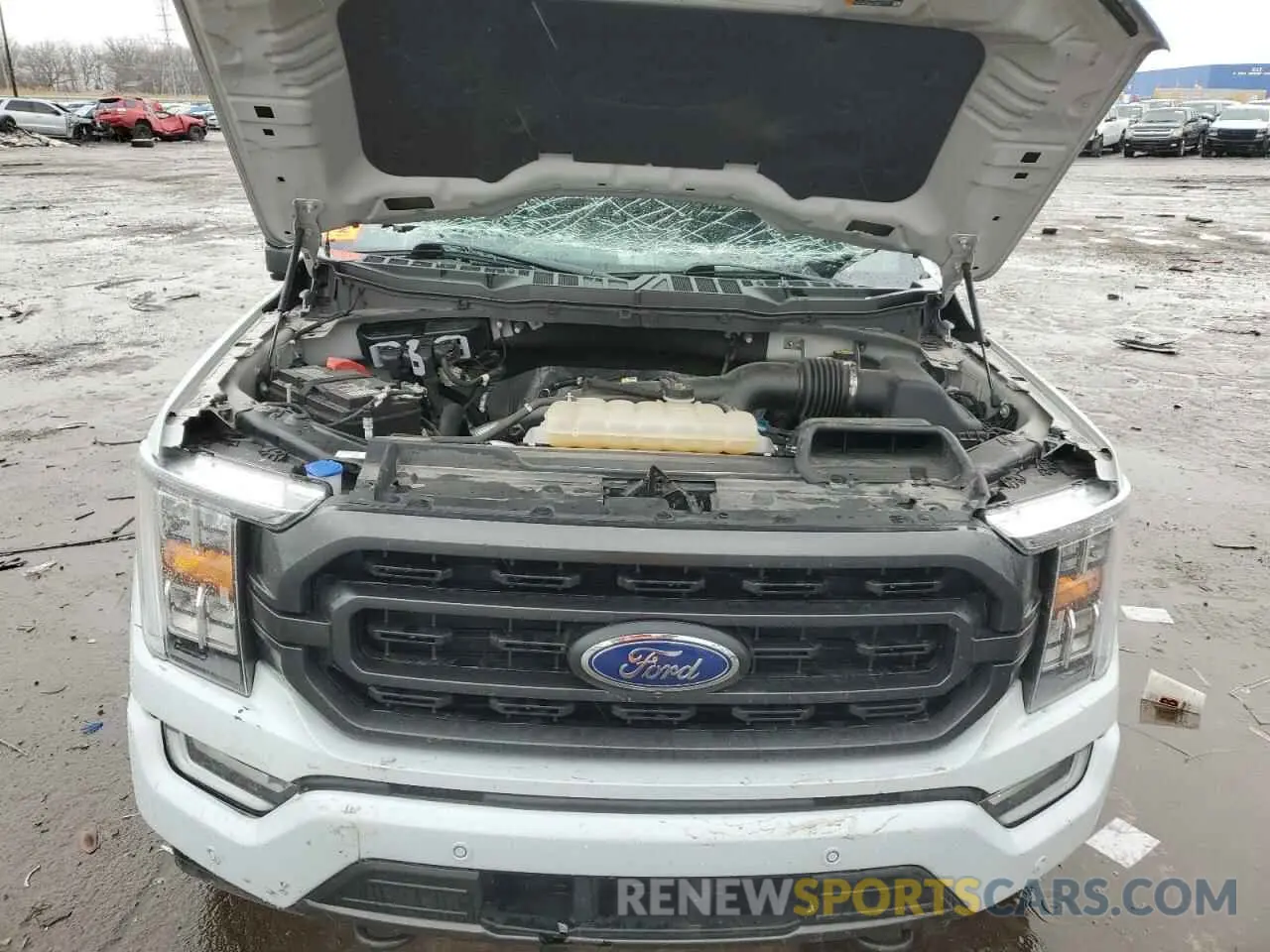 12 Photograph of a damaged car 1FTEW1EP1MKD54801 FORD F-150 2021