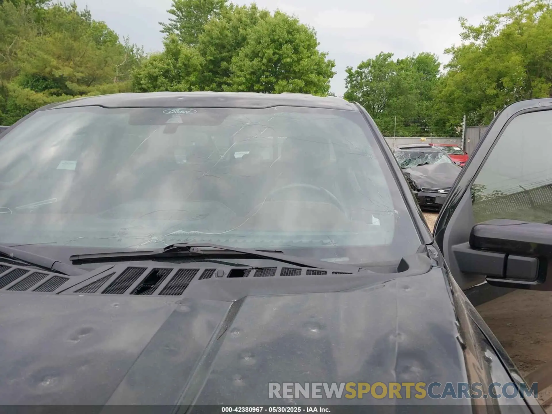12 Photograph of a damaged car 1FTEW1EP4MFA01378 FORD F-150 2021