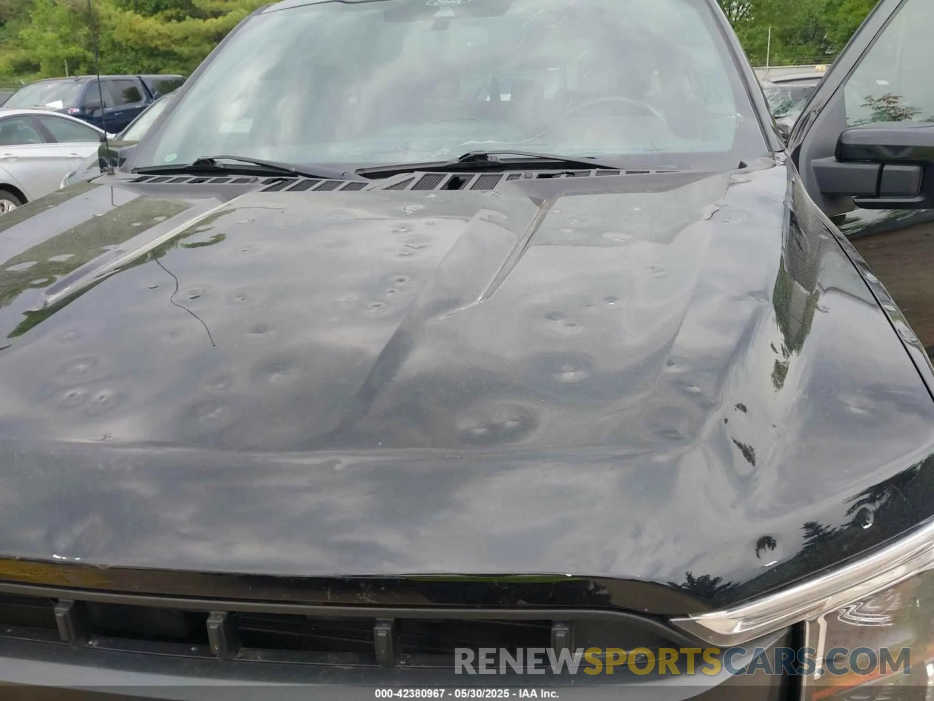 6 Photograph of a damaged car 1FTEW1EP4MFA01378 FORD F-150 2021