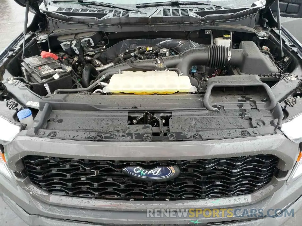 11 Photograph of a damaged car 1FTEW1EP4MKE54083 FORD F-150 2021