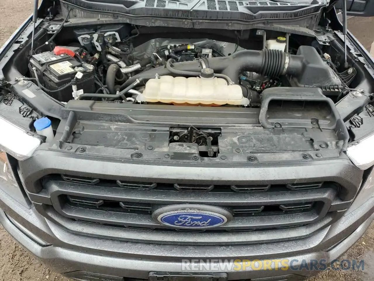 11 Photograph of a damaged car 1FTEW1EPXMFA19027 FORD F-150 2021