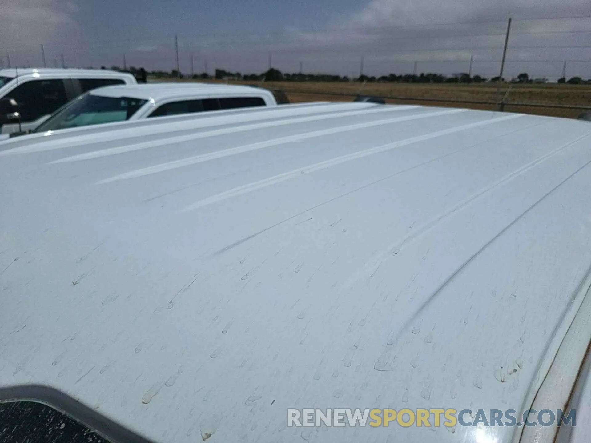 12 Photograph of a damaged car 1FTEW1EPXMKE69753 FORD F-150 2021