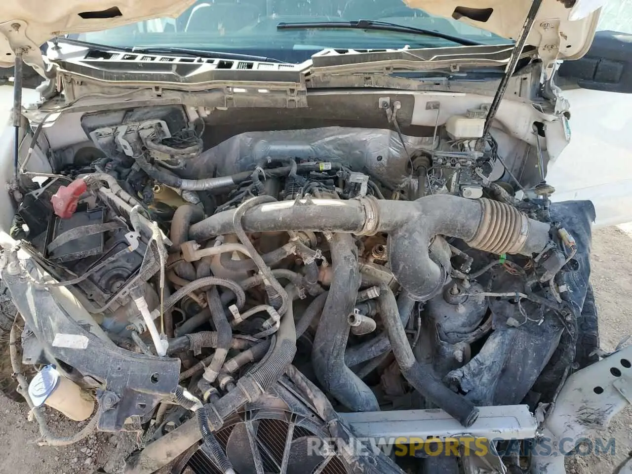 11 Photograph of a damaged car 1FTEX1EP7MKE56889 FORD F-150 2021