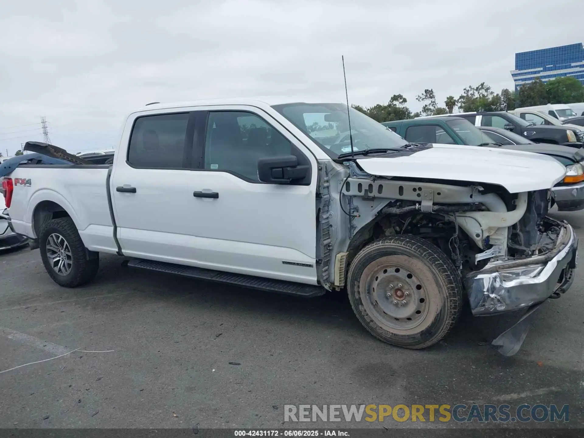 14 Photograph of a damaged car 1FTFW1E16MFC73480 FORD F-150 2021