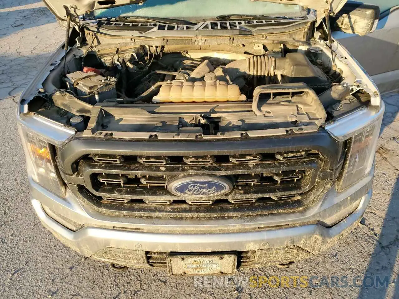 13 Photograph of a damaged car 1FTFW1E52MFA02659 FORD F-150 2021