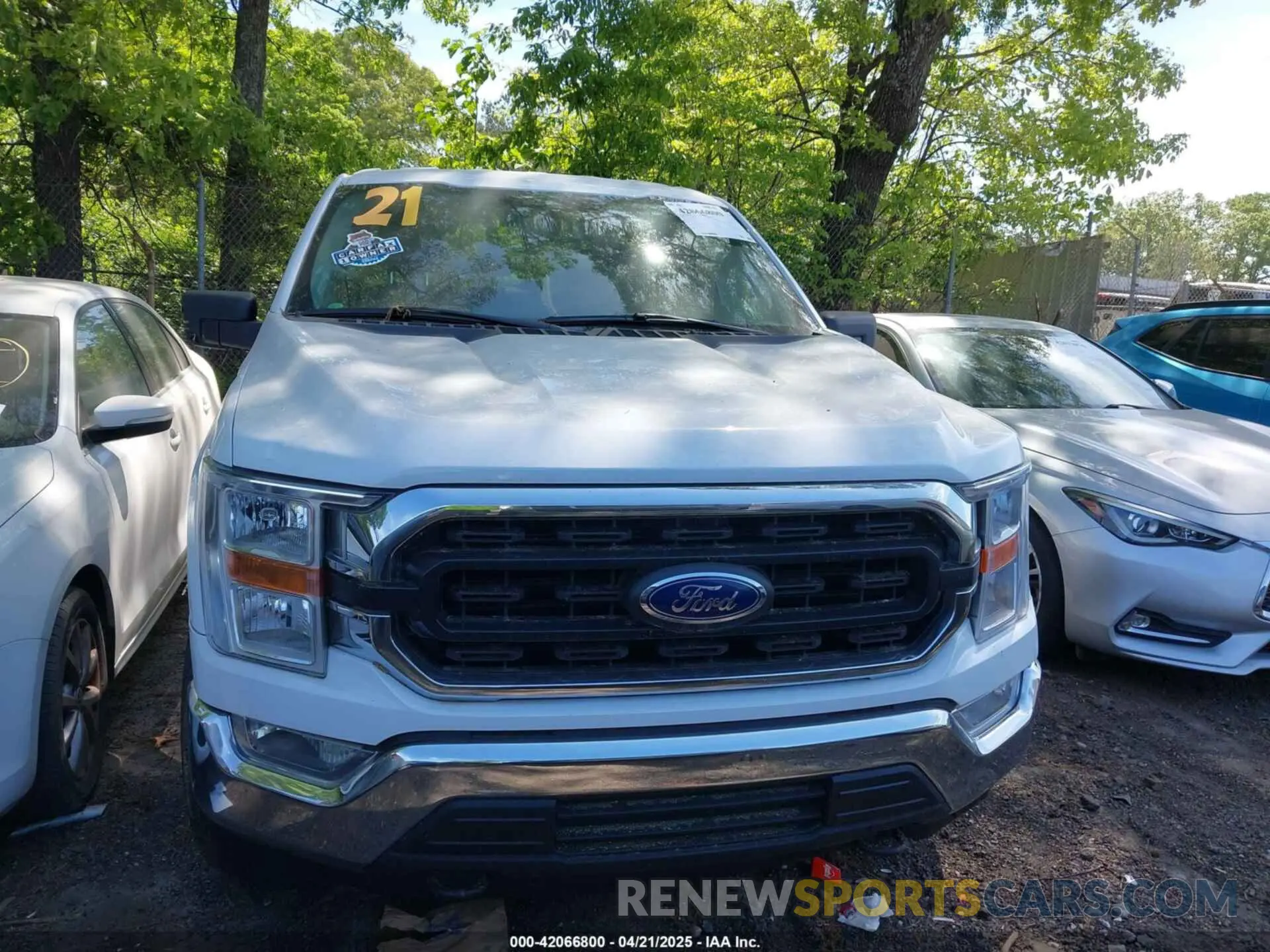 12 Photograph of a damaged car 1FTFW1E56MFB96239 FORD F-150 2021