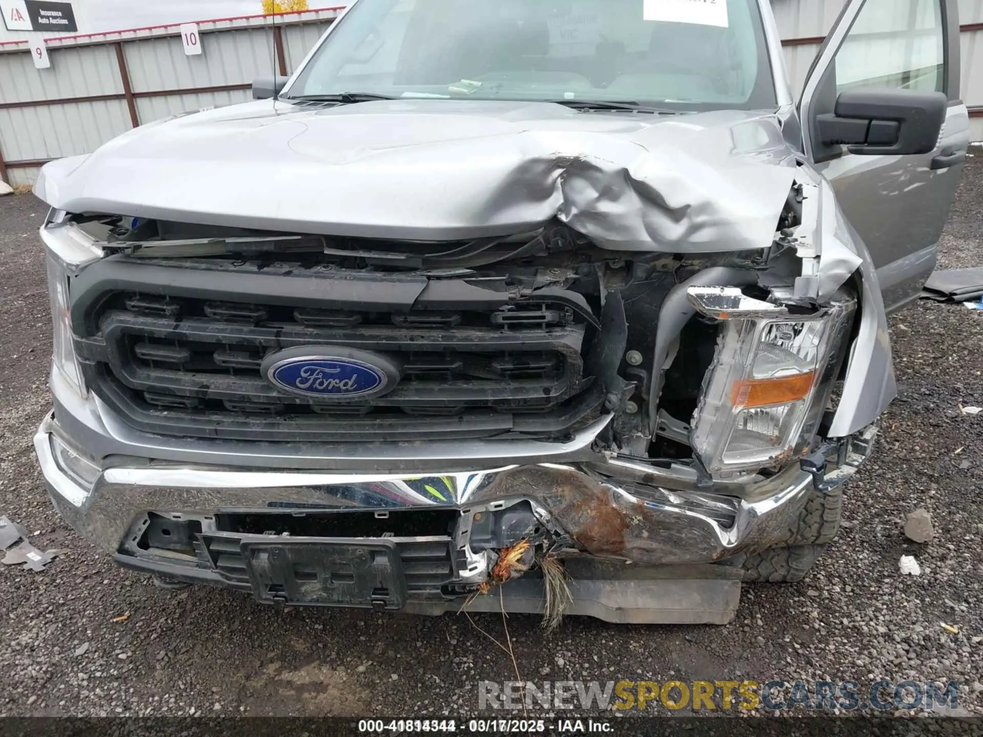6 Photograph of a damaged car 1FTFW1E5XMFA28555 FORD F-150 2021