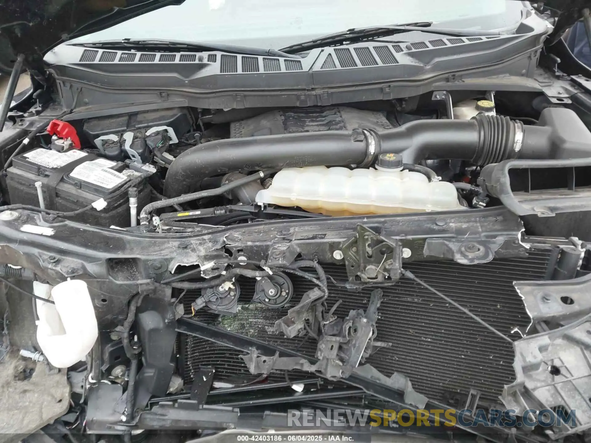 10 Photograph of a damaged car 1FTFW1E85MFC80160 FORD F-150 2021