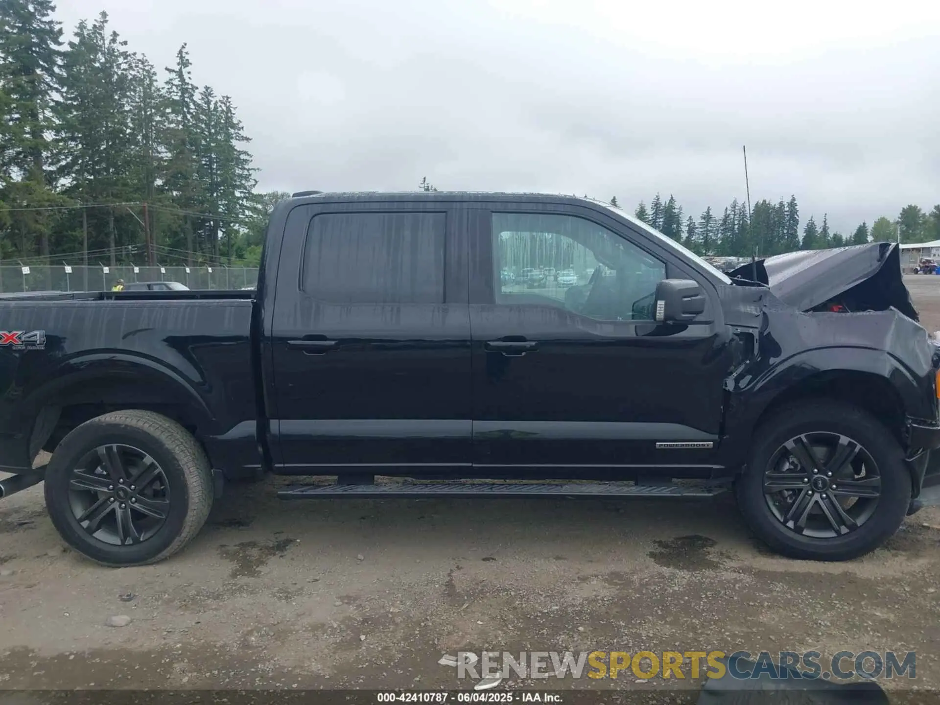 13 Photograph of a damaged car 1FTFW1ED4MFC64352 FORD F-150 2021